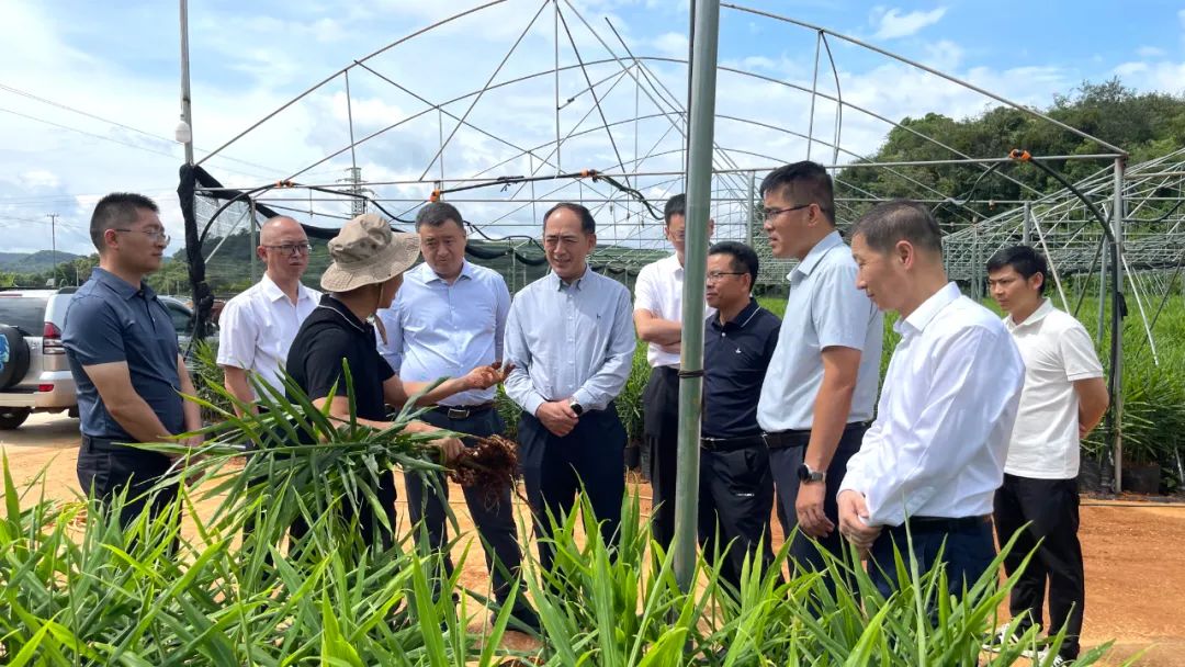 0?wx_fmt=jpeg&from=appmsg 图片