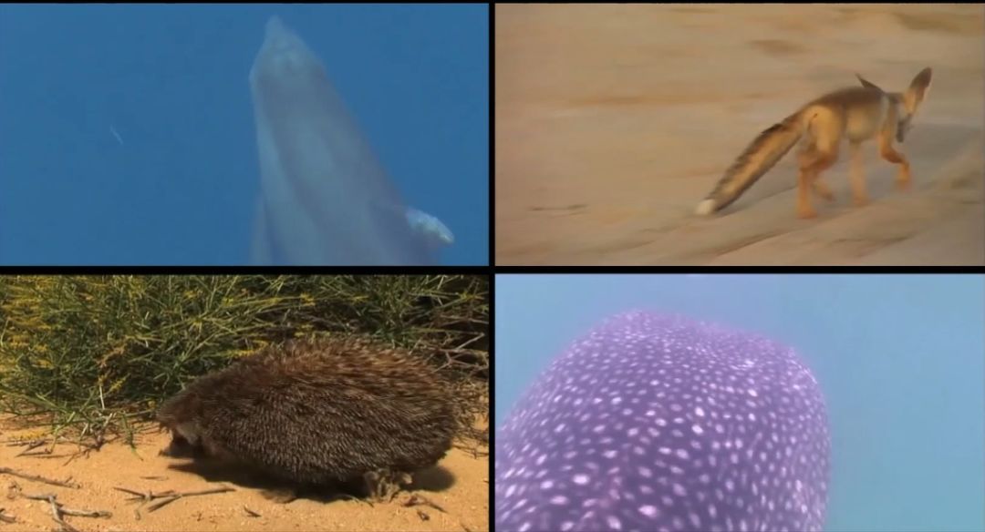 ��ҳ- yl6809���������й��ٷ���վ