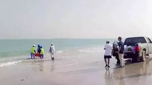 ��ҳ- yl6809���������й��ٷ���վ