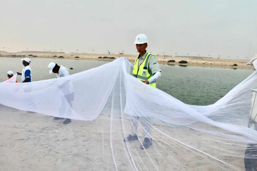 ��ҳ- yl6809���������й��ٷ���վ