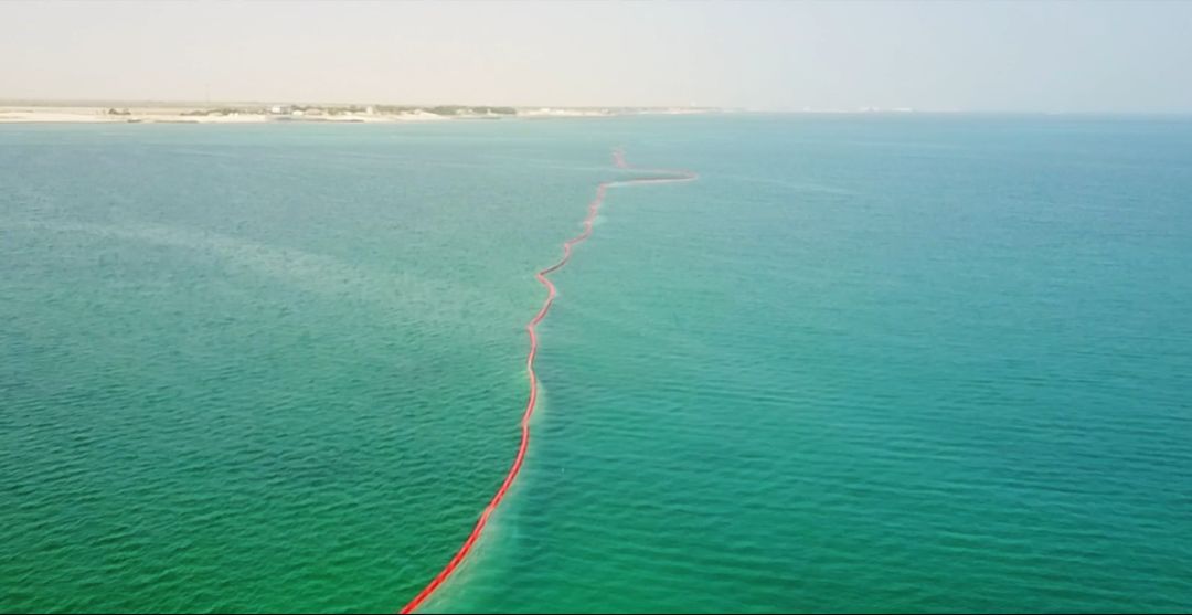 ��ҳ- yl6809���������й��ٷ���վ