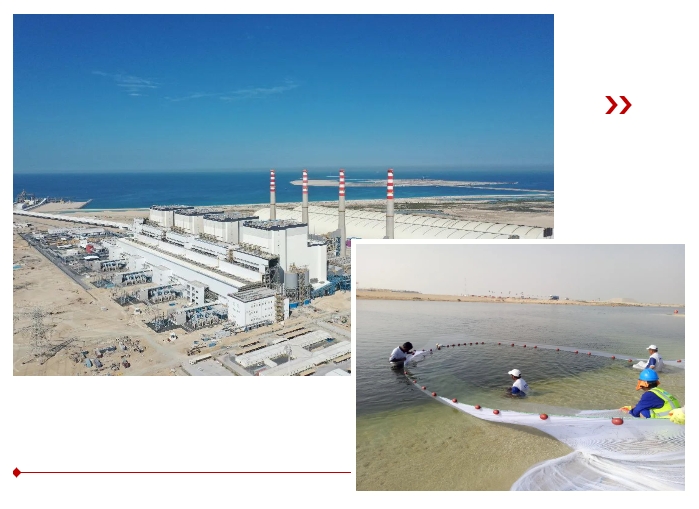 ��ҳ- yl6809���������й��ٷ���վ