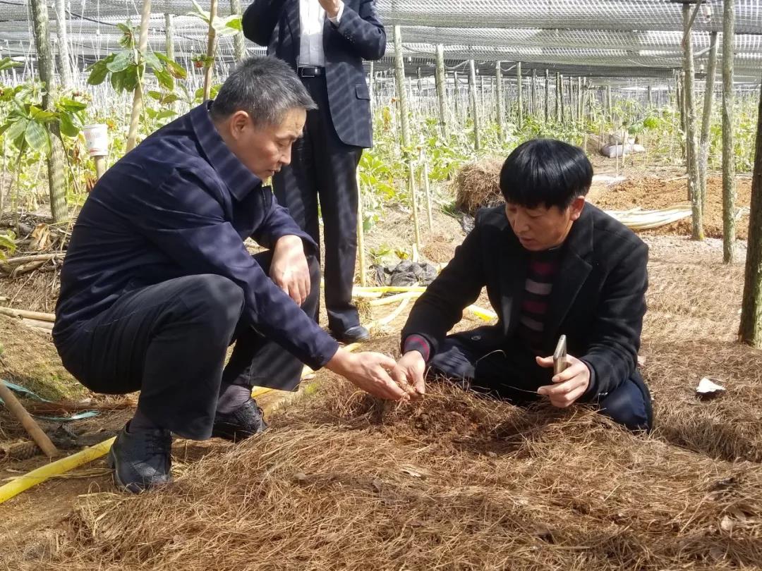 ��ҳ- yl6809���������й��ٷ���վ