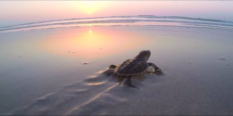 ��ҳ- yl6809���������й��ٷ���վ