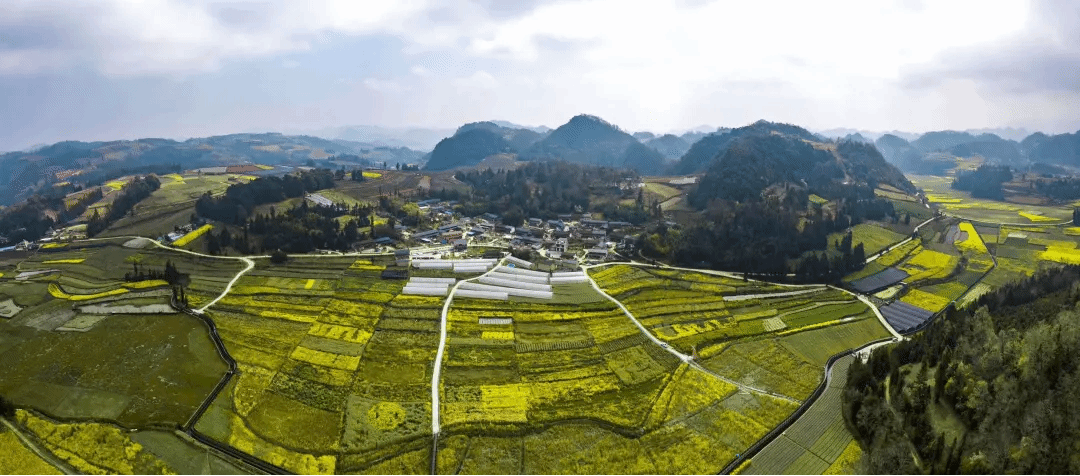 首页- yl6809永利集团中国官方网站