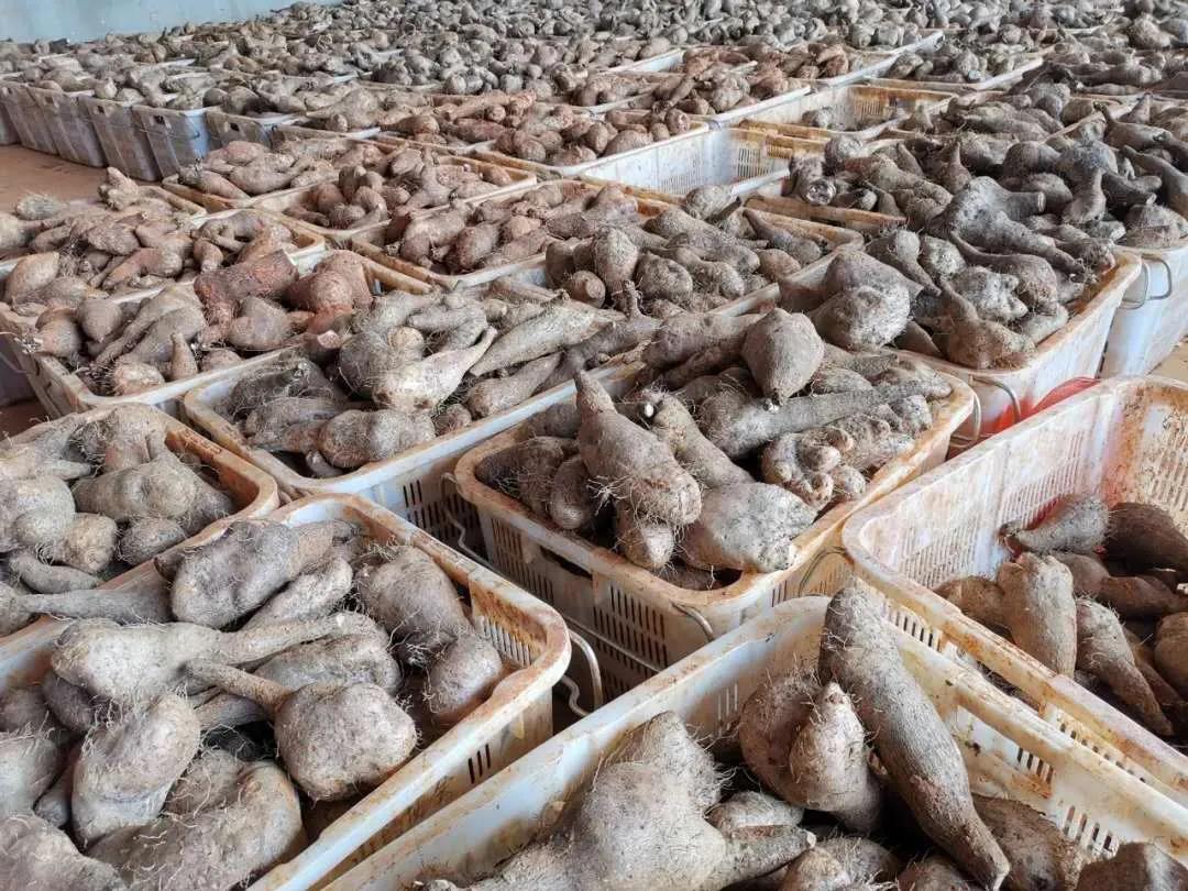 ��ҳ- yl6809���������й��ٷ���վ