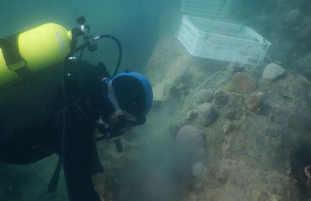 ��ҳ- yl6809���������й��ٷ���վ