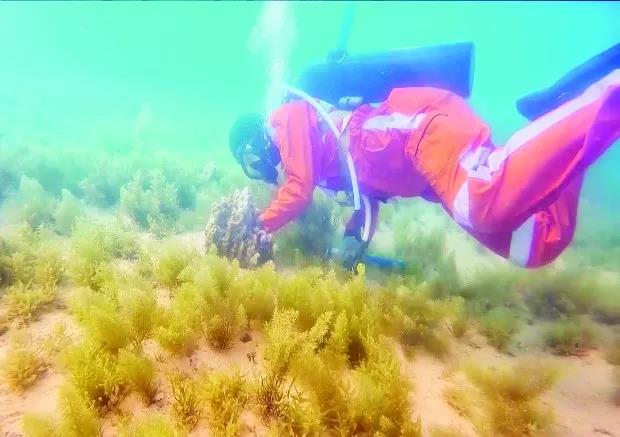 ��ҳ- yl6809���������й��ٷ���վ