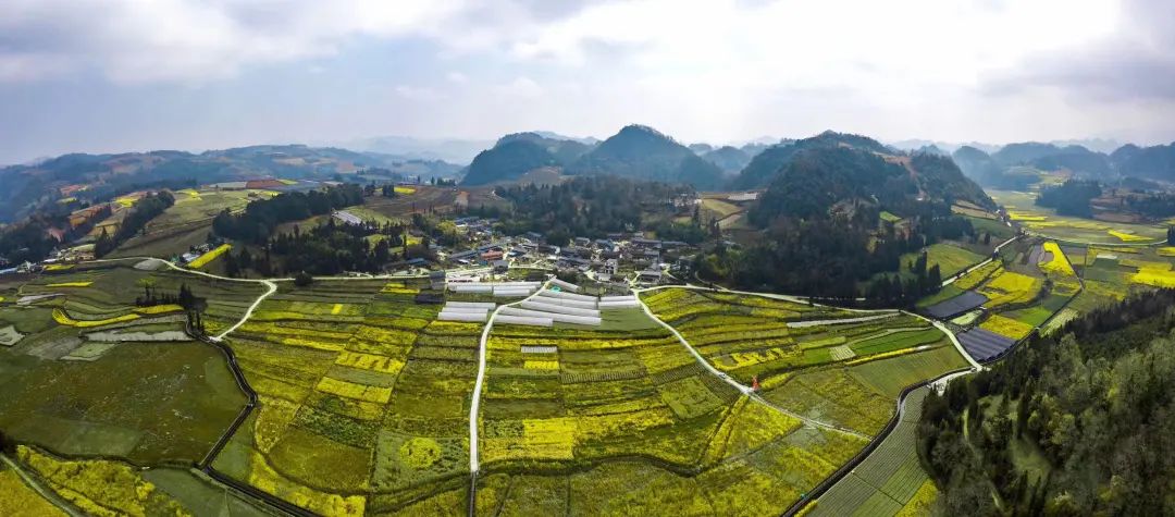 DB832BCEB2026347CF9D58EFFEE_6E40F80F_18AC3.jpg?e= 图片