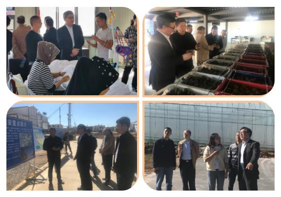 ��ҳ- yl6809���������й��ٷ���վ