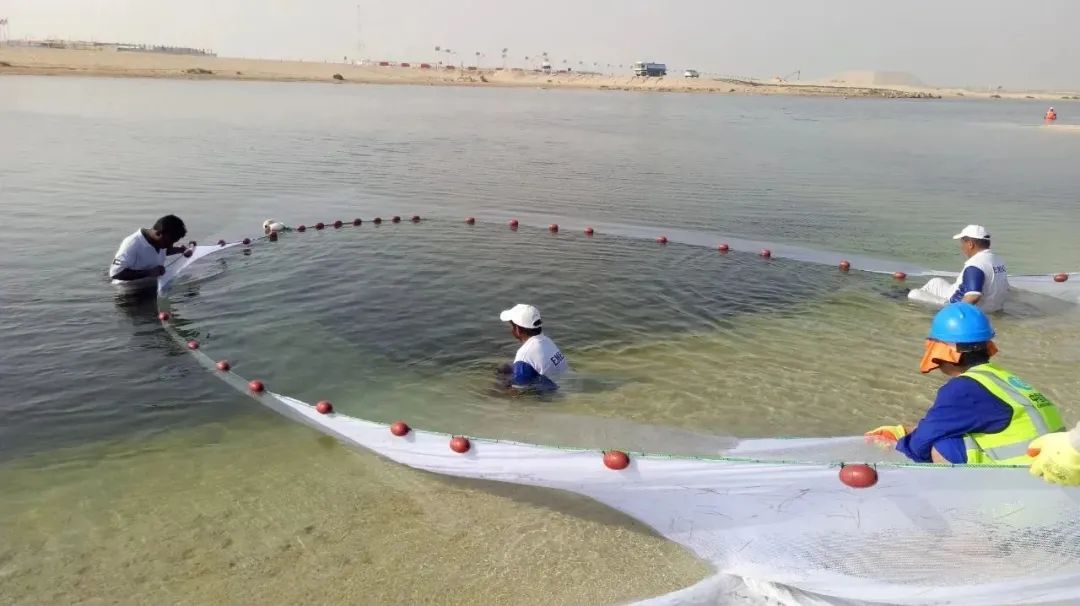 ��ҳ- yl6809���������й��ٷ���վ