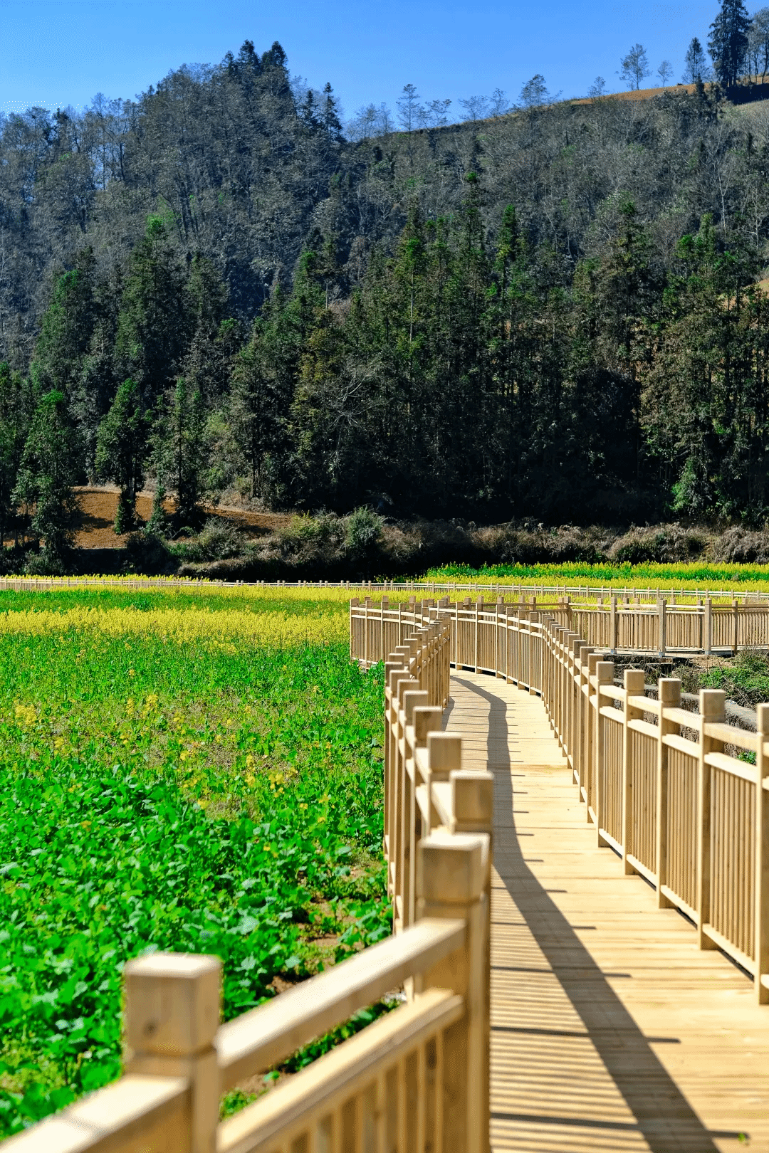 首页- yl6809永利集团中国官方网站