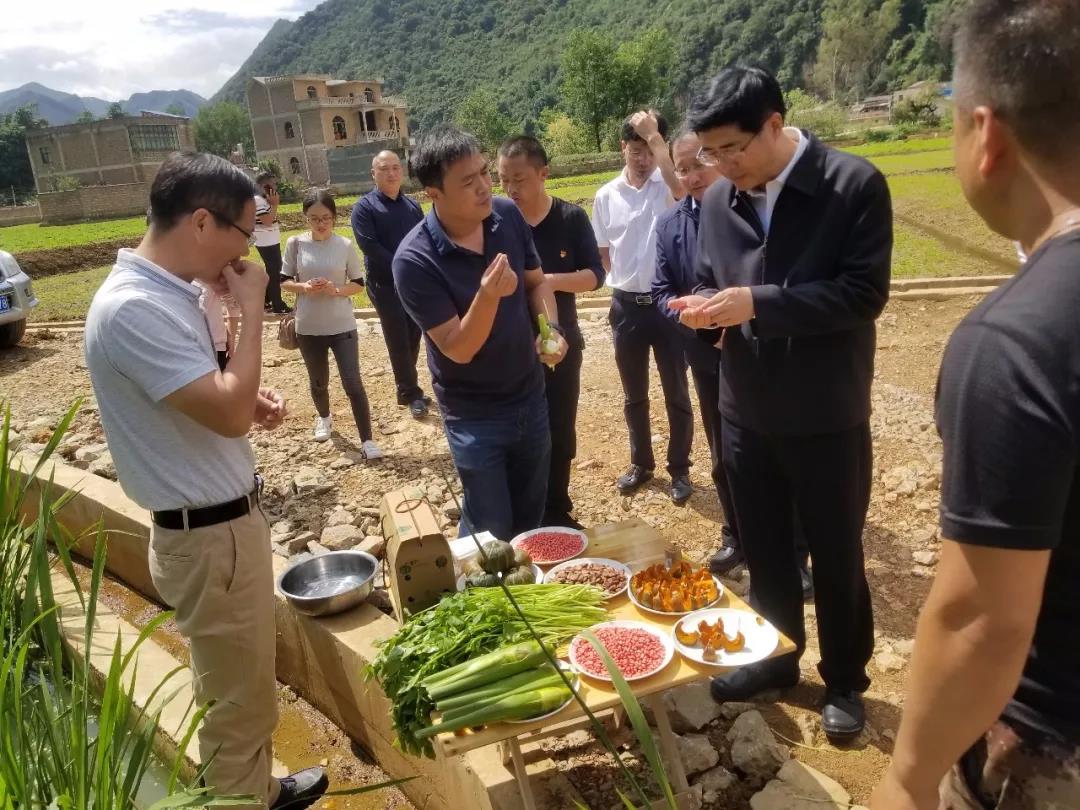 ��ҳ- yl6809���������й��ٷ���վ