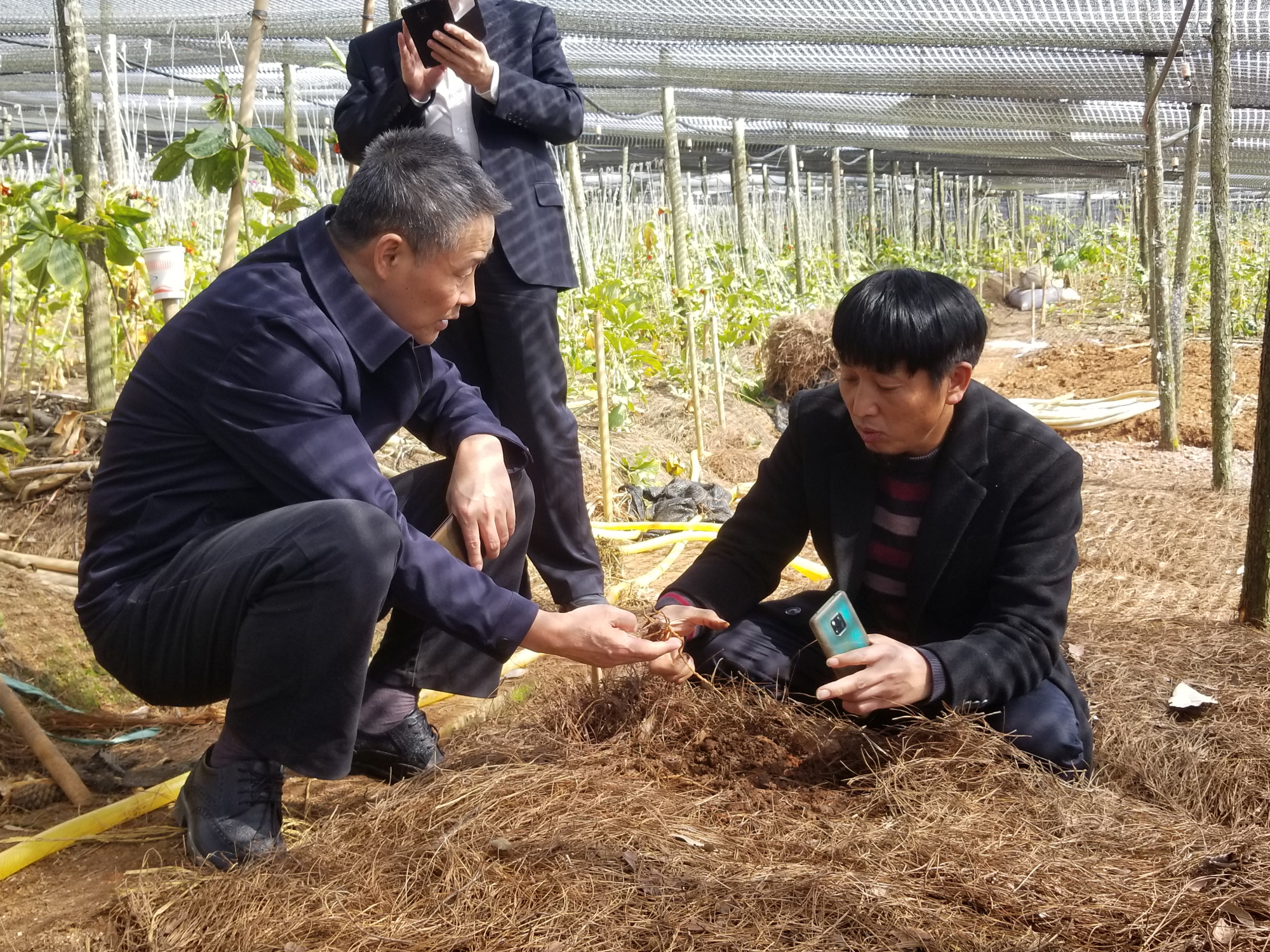 ��ҳ- yl6809���������й��ٷ���վ