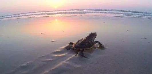 ��ҳ- yl6809���������й��ٷ���վ