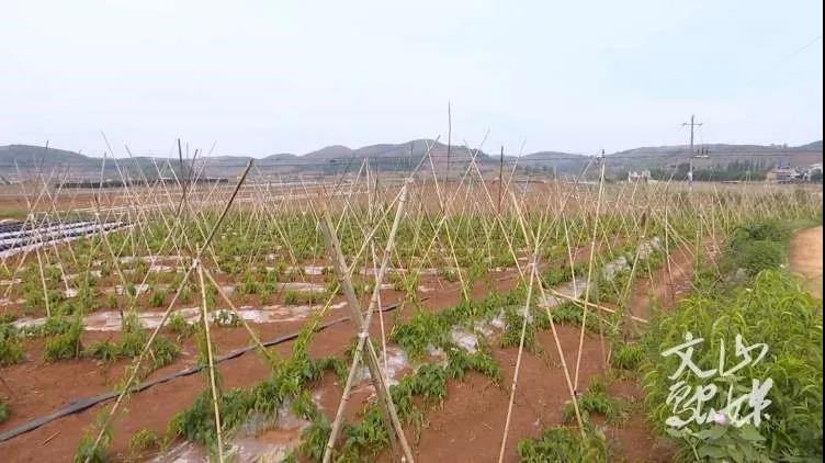 ��ҳ- yl6809���������й��ٷ���վ