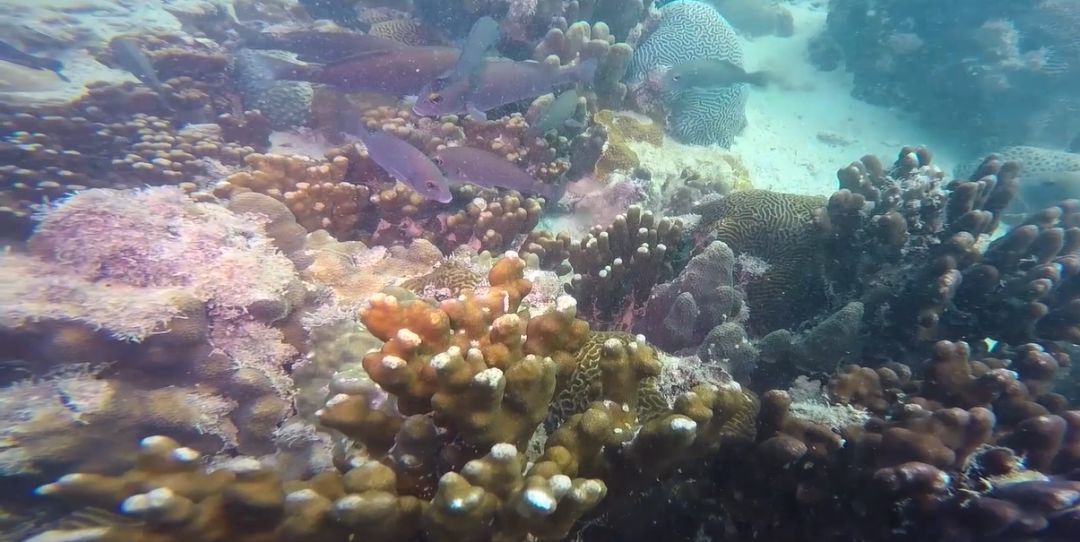 ��ҳ- yl6809���������й��ٷ���վ