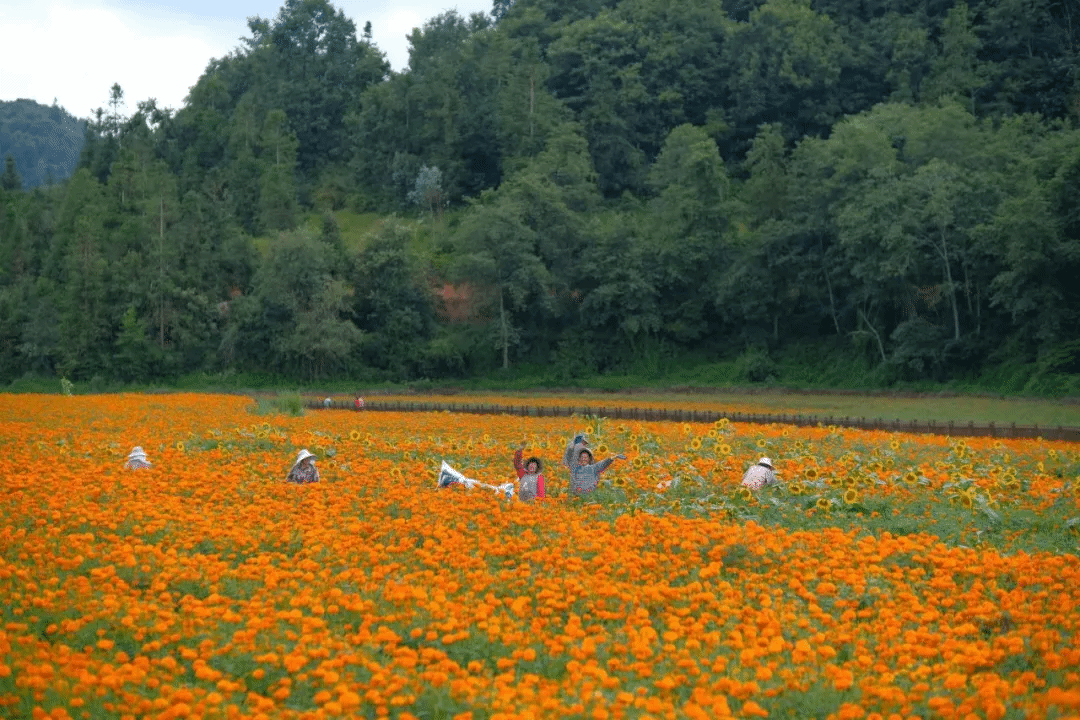 ��ҳ- yl6809���������й��ٷ���վ