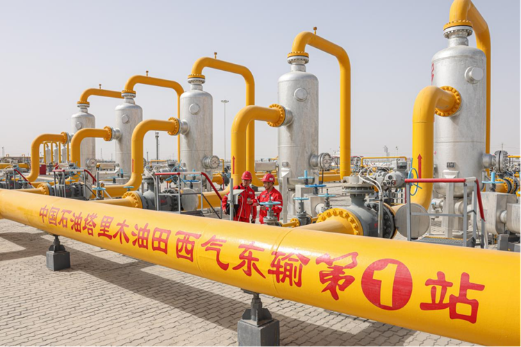 ��ҳ- yl6809���������й��ٷ���վ