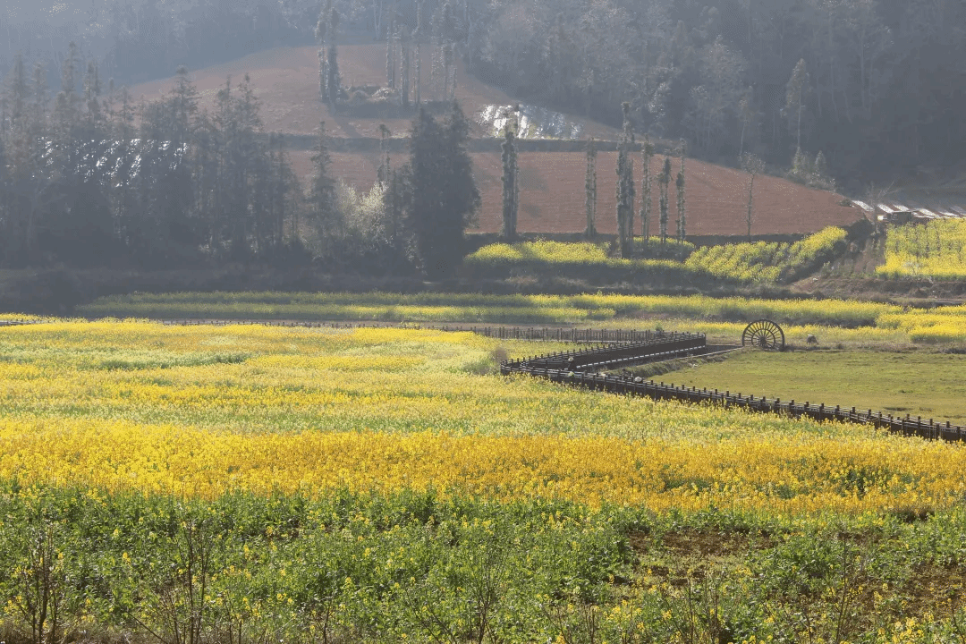 ��ҳ- yl6809���������й��ٷ���վ