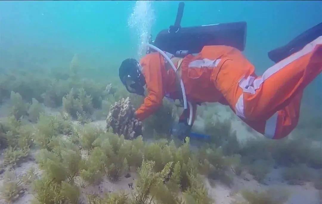 ��ҳ- yl6809���������й��ٷ���վ